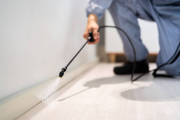 Licensed Termite Control service in Breckinridge County County, KY - Nex Pest Control