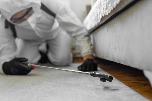 Professional Termite Control technician working in Breckinridge County County, KY